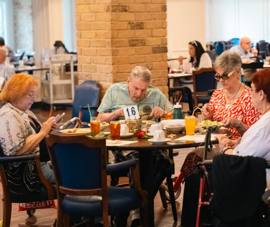 The Anosh Inc Foundation’s Mother’s Days at Treemont